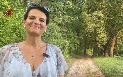 Novinky vzdělávacího a jazykového centra jazz-com