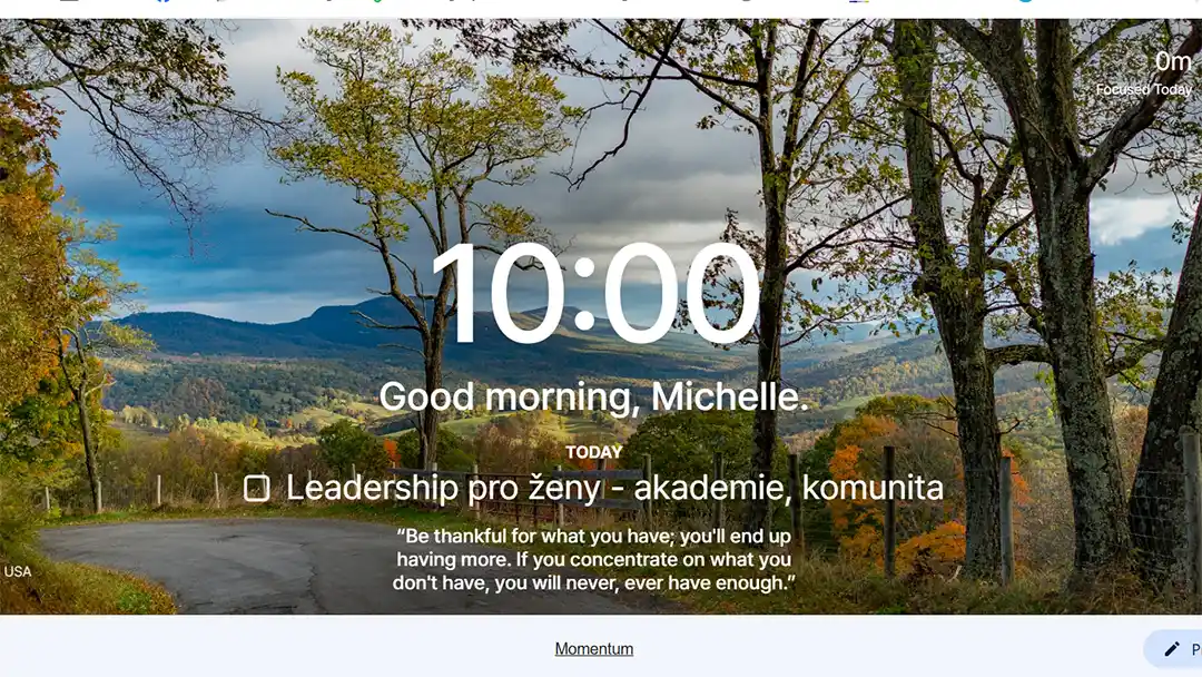 Momentum